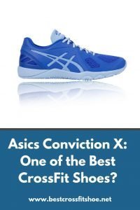 asic conviction