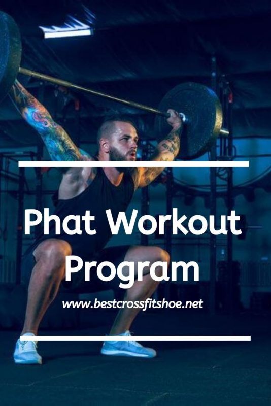 phat-workout