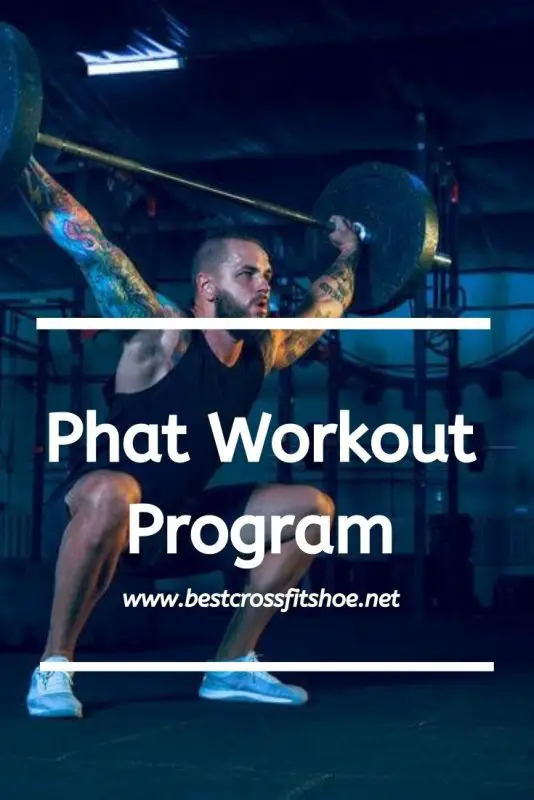 30 Minute Phat Workout Routine for Gym